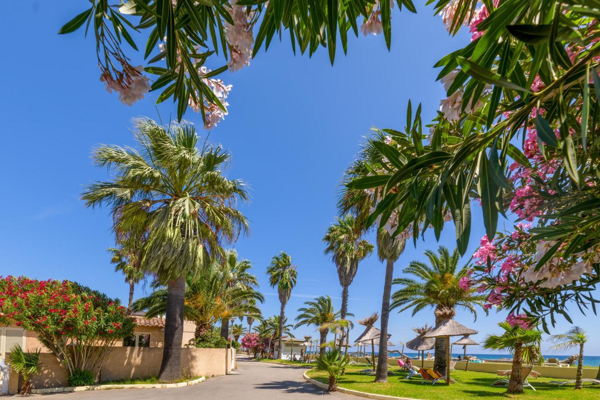 Residence San Pellegrino Folelli Экстерьер фото