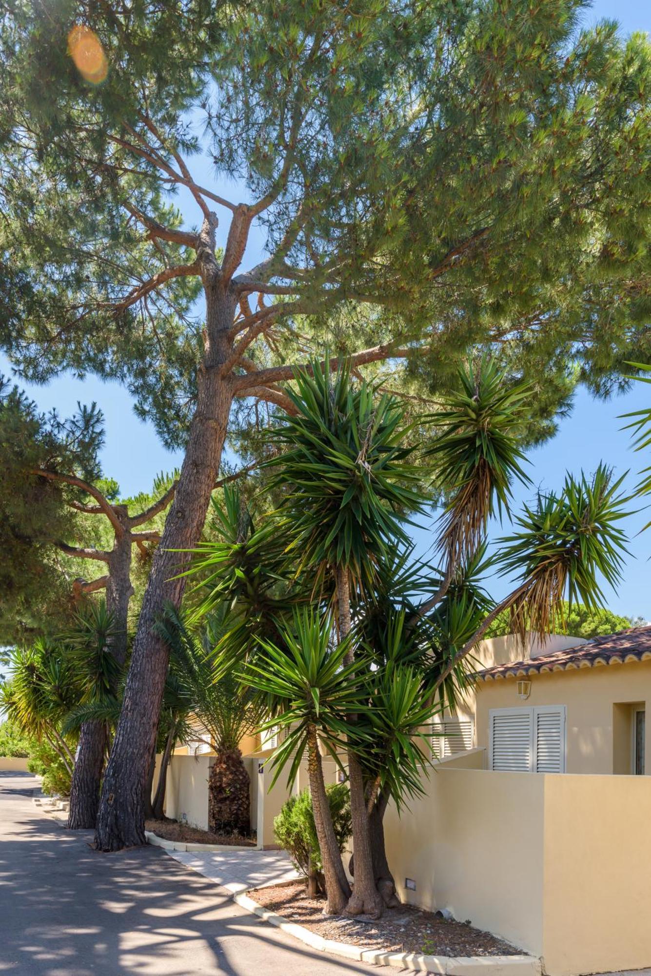 Residence San Pellegrino Folelli Экстерьер фото