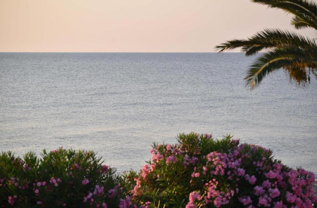 Residence San Pellegrino Folelli Экстерьер фото