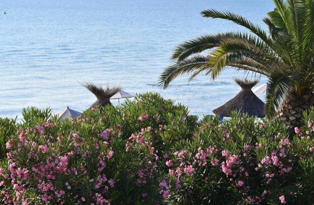 Residence San Pellegrino Folelli Экстерьер фото